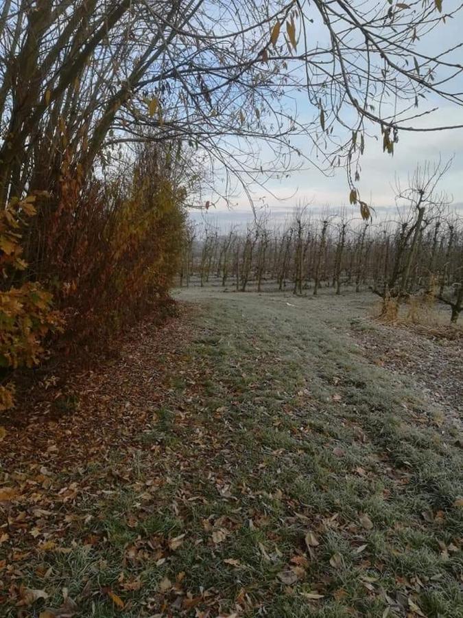 Vakantiewoning Upstairzzz Kortessem Eksteriør bilde